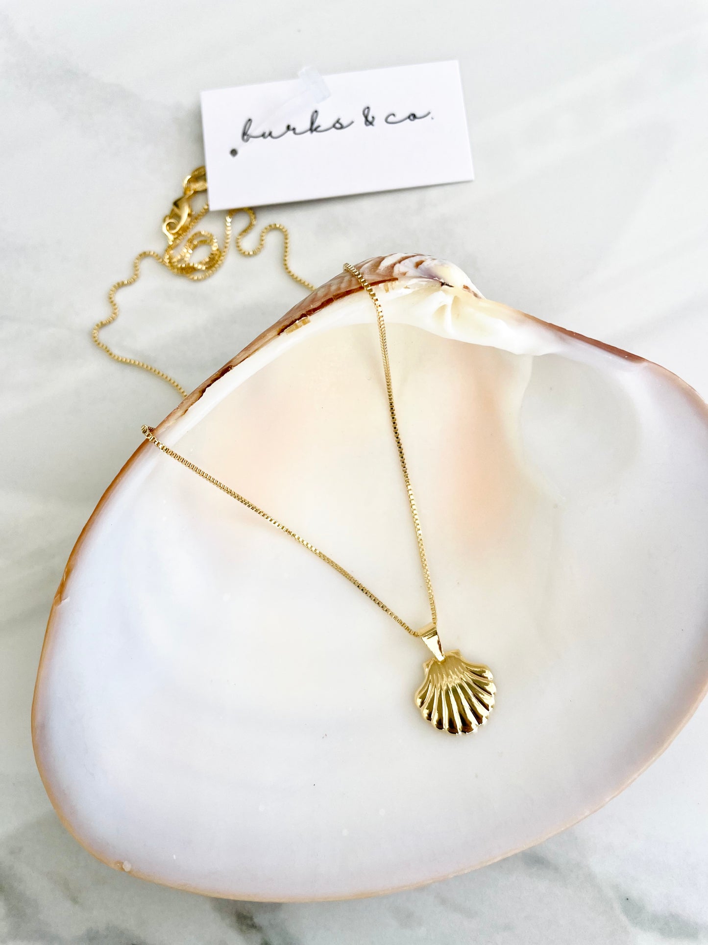 Shell necklace